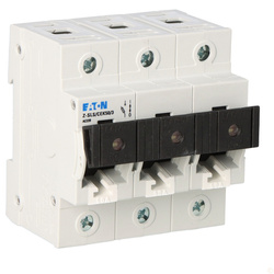 Unterbrechersockel mit Stecker und Sicherung Z-SLS/CEK50/3 TYTAN